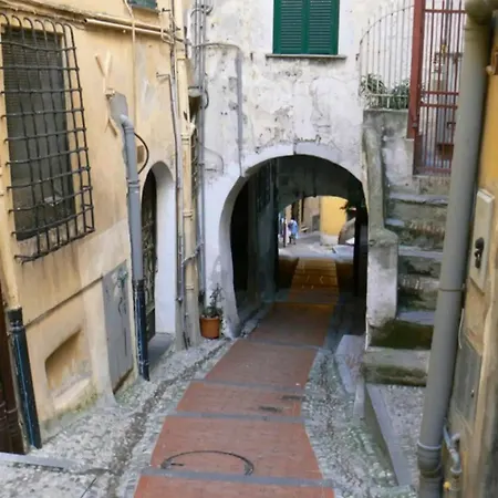 Nuovo Nido Centralissimo *